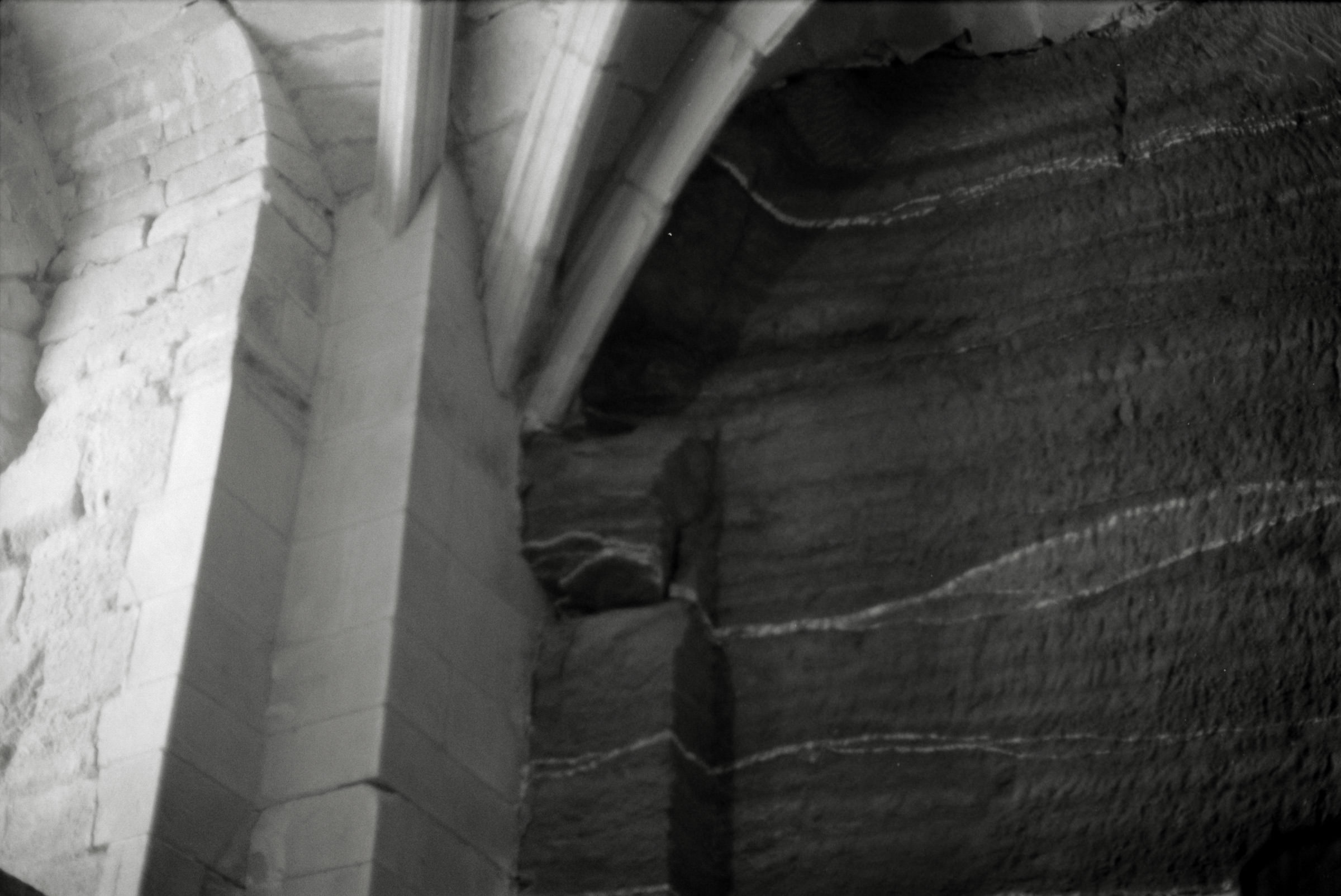 AHP F1995 05 008 sc240826 img07 NLP